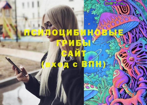 герыч Дмитров