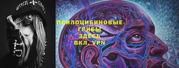 хмурый Дмитриев