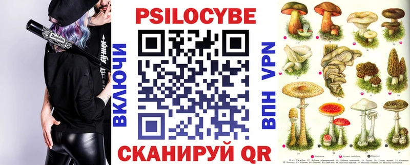 Купить  Черняховск  Псилоцибиновые грибы мицелий 